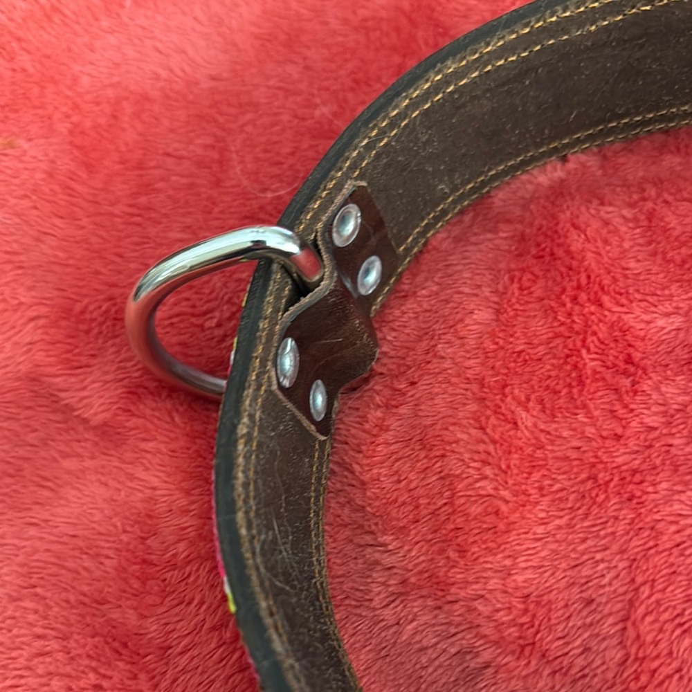 Genuine Leather Dog Collar - Picture 5 of 11